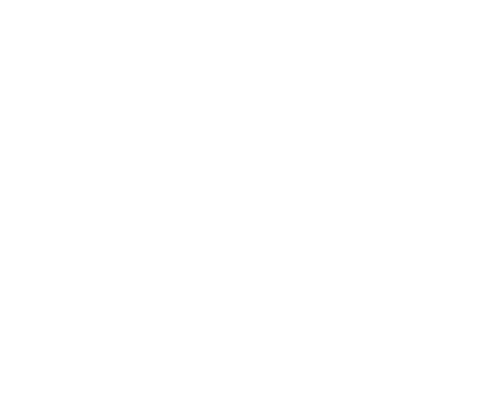 Local Luxury Closets
